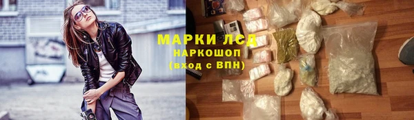 прущие грибы Алзамай