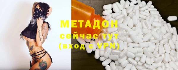 прущие грибы Алзамай