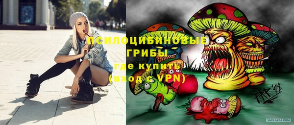 спайс Абаза