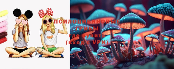 прущие грибы Алзамай